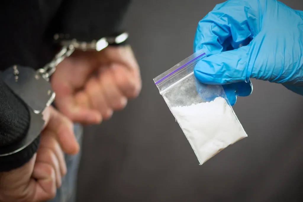 What Are Your Rights During A Drug Search In Sydney? Don’t Get Caught Unprepared